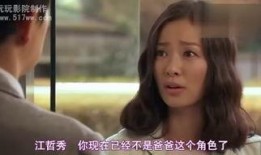 《两个妻子》在线观看,情感纠葛与身份认同的戏剧冲突